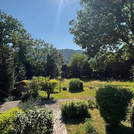 Charmante Vue Sur Les Montagnes *